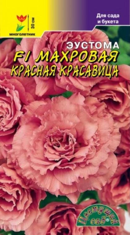 Махровая Красная Красавица/Цветущий Сад