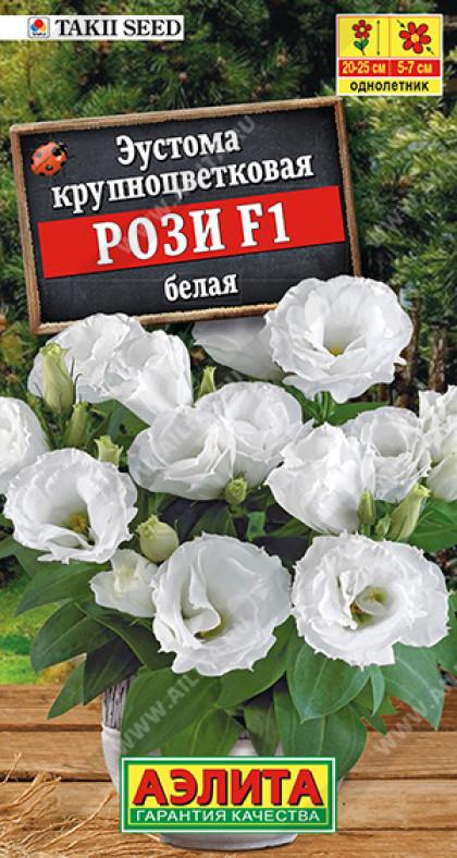 Рози белая крупноцв махр Ц(А)