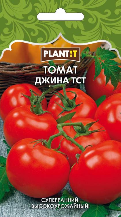 Томат Джина Plantit