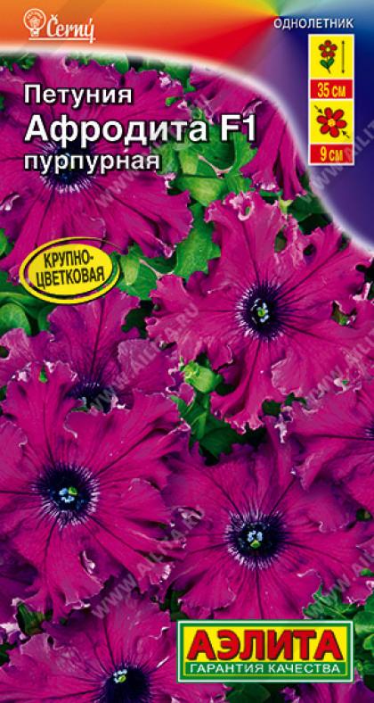 Афродита пурпурная крупноцв. Ц(А)