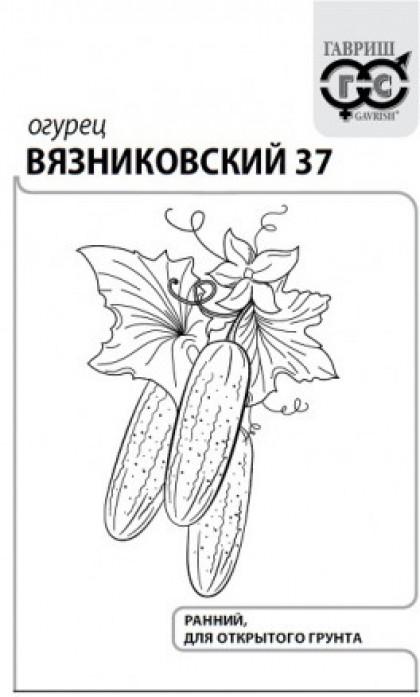 Вязниковский-37 Б(Г)