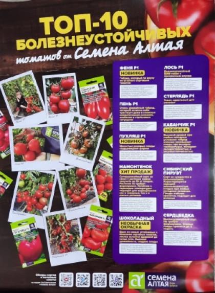 Плакат Топ-10 болезнеустойчивых томатов 2023