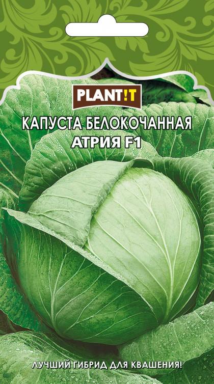 Капуста Атрия б/к Plantit