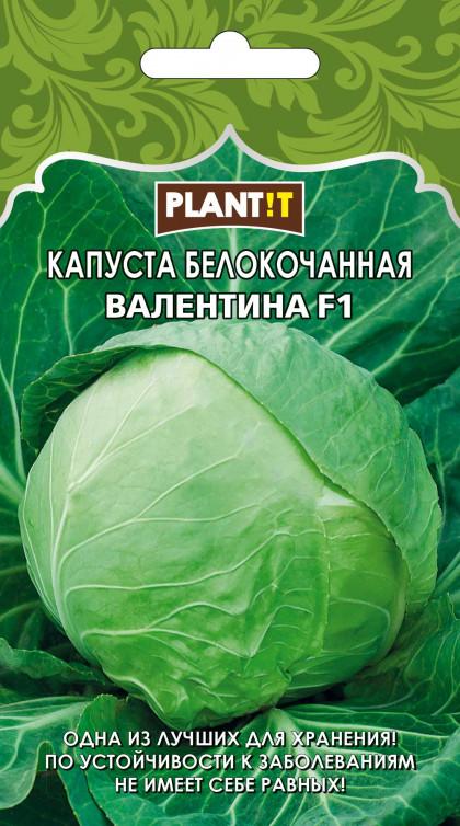 Капуста Валентина б/к Plantit