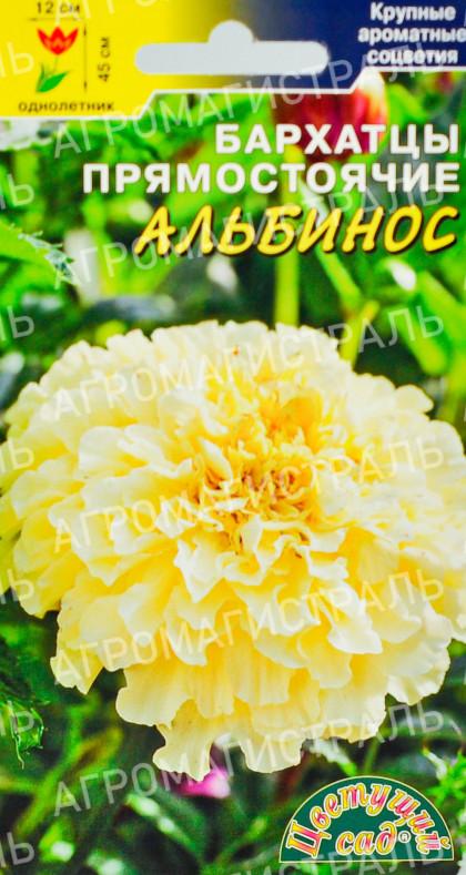 Альбинос/Цветущий Сад