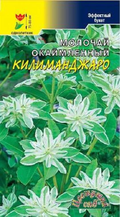 Килиманджаро/Цветущий Сад