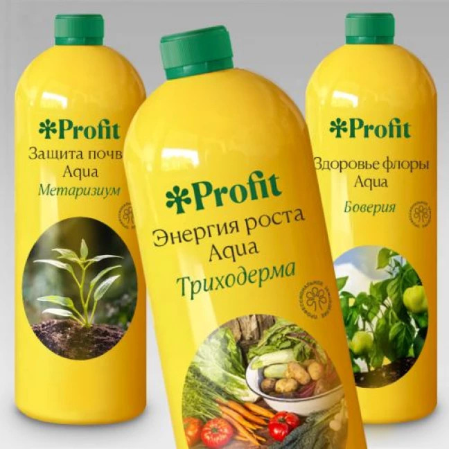 Корзина