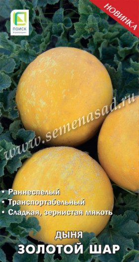 Золотой шар Ц(Поиск)