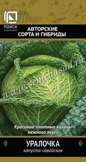 савойская Уралочка Ц(Поиск)