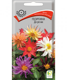 До ре ми Ц(Поиск)