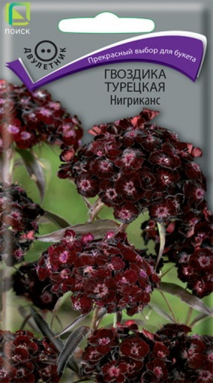 Нигриканск турецкая Ц(Поиск)