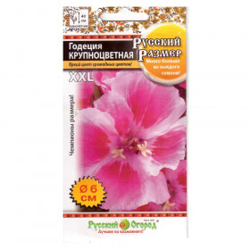 Русский размер Ц(Н) годеция