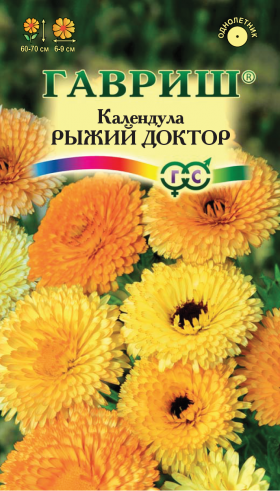 Рыжий доктор Ц(Г)