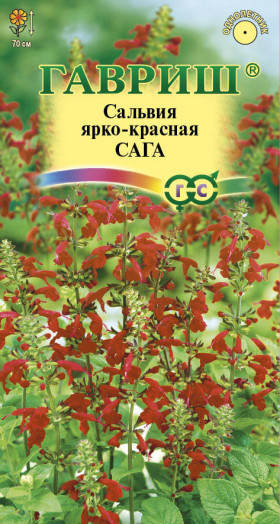Сага ярко-красная Ц (Г)
