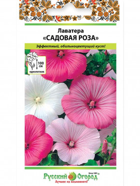 Садовая роза Ц(Н)