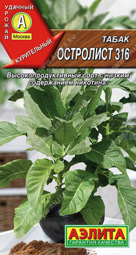 Остролист 316 Ц(А)