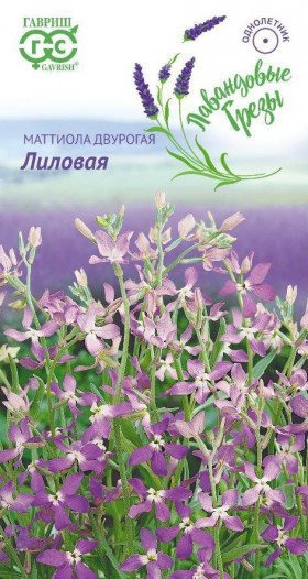 Лиловый Ц(Г)