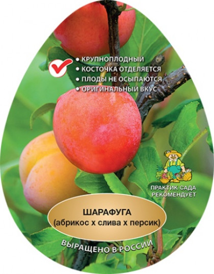 Гибрид 1шт/сетка Поиск