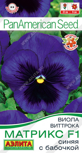 Матрикс синяя с бабочкой крупноцв Ц(А)