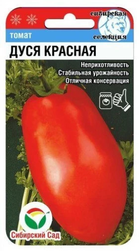 Дуся красная СС