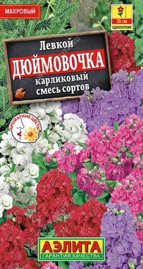 Дюймовочка карлик.смесь Ц(А)