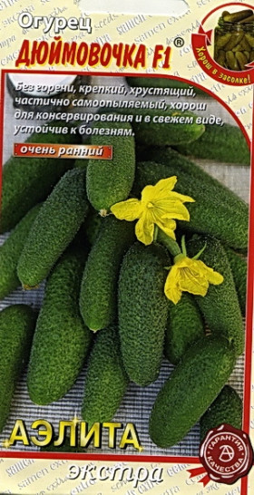 Дюймовочка Ц(А) огурец