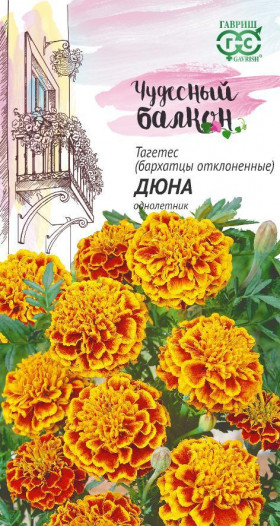 Дюна откл.Ц(Г)