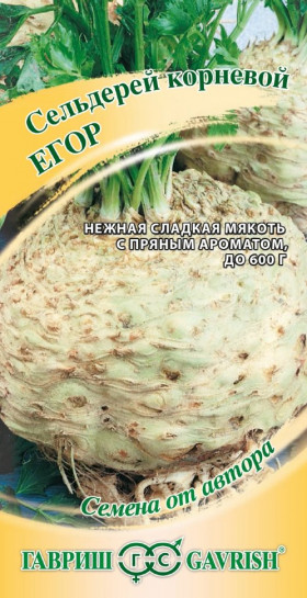 Егор корневой Ц(Г)