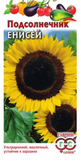 Енисей 10 гр.Ц(Г)