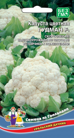 цветная Гудман Ц(УД)