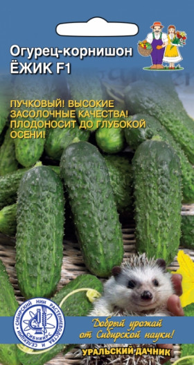 Ежик корнишон Ц(УД)