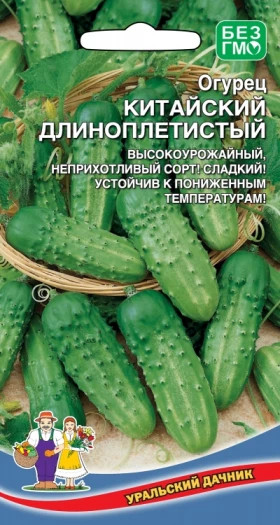 Китайский Длинноплетистый Ц(УД)