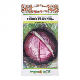 к/к Ранняя красавица Ц(Н)