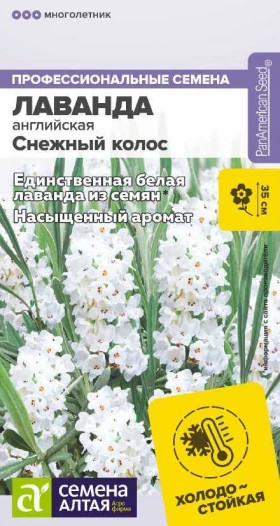 Снежный колос английская 5шт Ц(Алт)