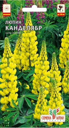 Канделябр 0,3гр Ц(Алт)