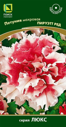 Пируэт Ред Ц(Поиск)