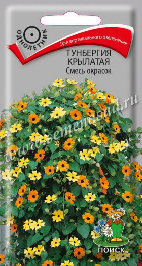 Смесь Ц(Поиск) тунбергия