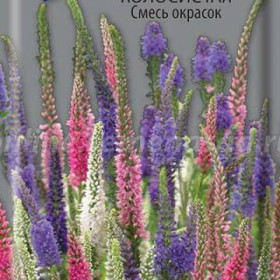 Смесь Ц(Поиск) вероника