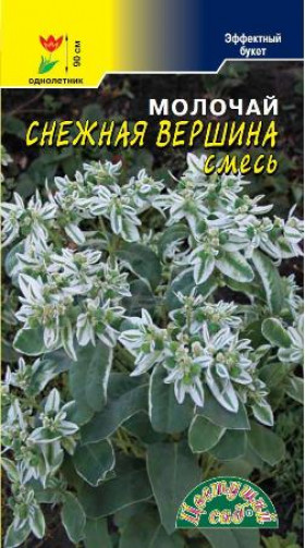 Снежная Вершина/Цветущий Сад