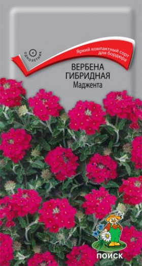 Маджента Ц(Поиск)