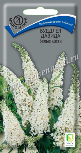 Давида Белые кисти Ц(Поиск)