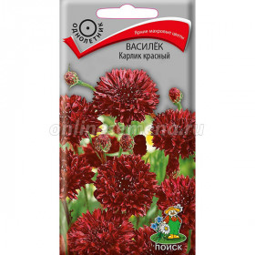 Карлик красный Ц(Поиск)