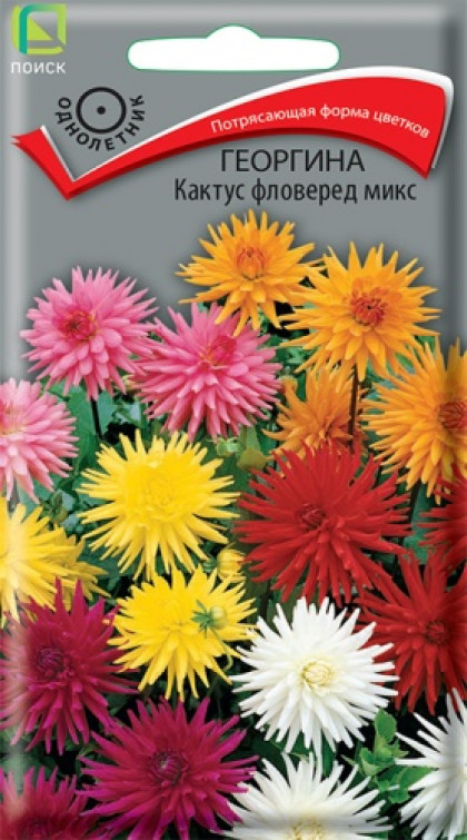 Кактус фловеред микс Ц(Поиск)
