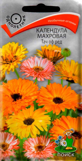 Тач оф Ред Ц(Поиск)