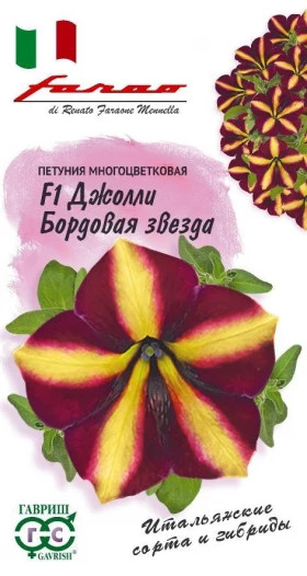 Джолли бордовая звезда многоцв Ц(Г)