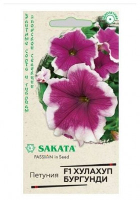 Хулахуп Бургунди Ц(Г)