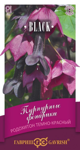 Пурпурные фонарики Ц(Г)