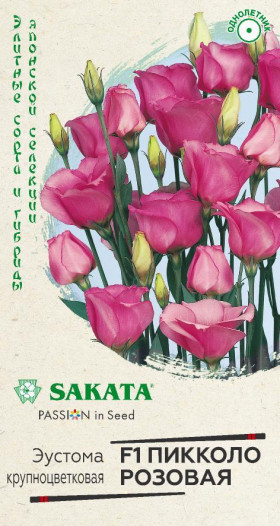 Пикколо Розовая Ц(Г)