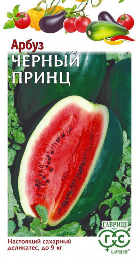 Черный принц Ц(Г) арбуз