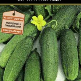 Клавдия Агро 12шт Ц(Поиск)